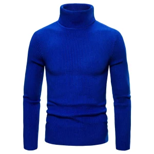 Pull Col Roulé Bleu Homme