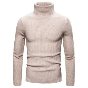 Pull Col Roulé Beige Homme