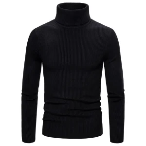 Pull Col Roulé Noir Homme