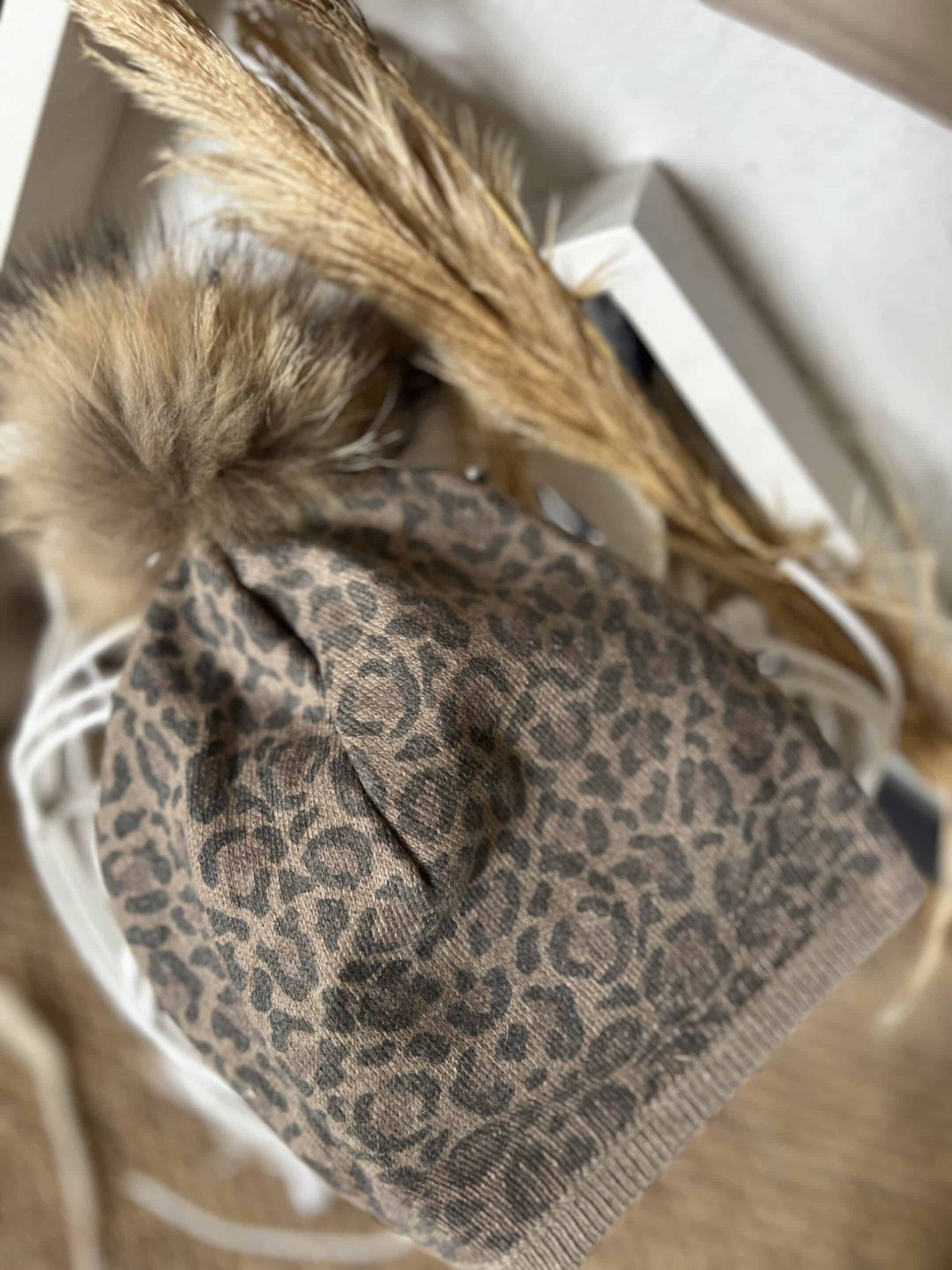 Bonnet Leo – Image 2