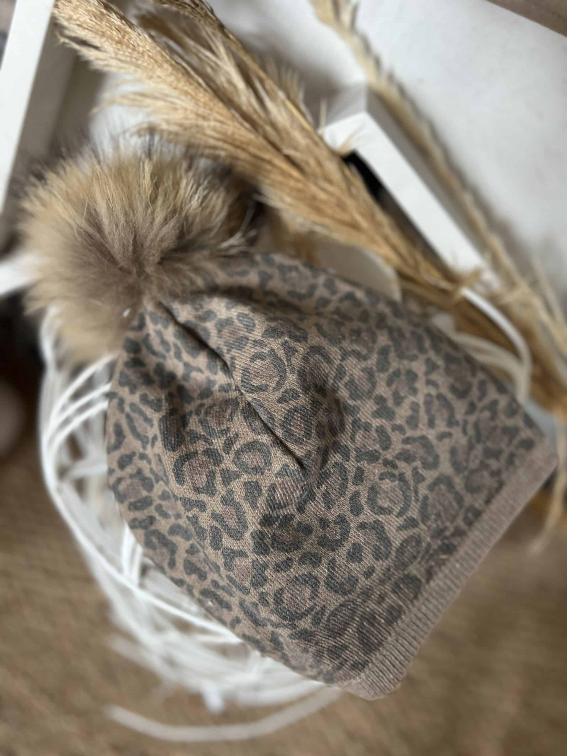 Bonnet Leo – Image 4