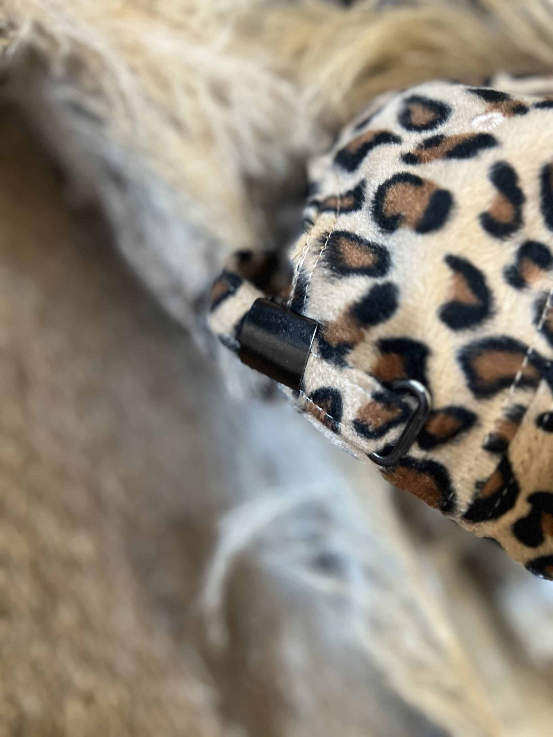 Casquette Léopard – Image 4