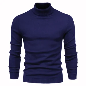 Pull Laine Col Roulé Homme Bleu Marine