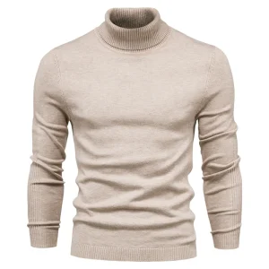 Pull Laine Col Roulé Homme Beige
