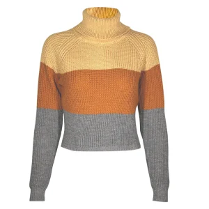 Pull Col Roulé Crop Top