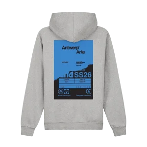 ARTE - Sweat à Capuche avec Poster au dos Gris