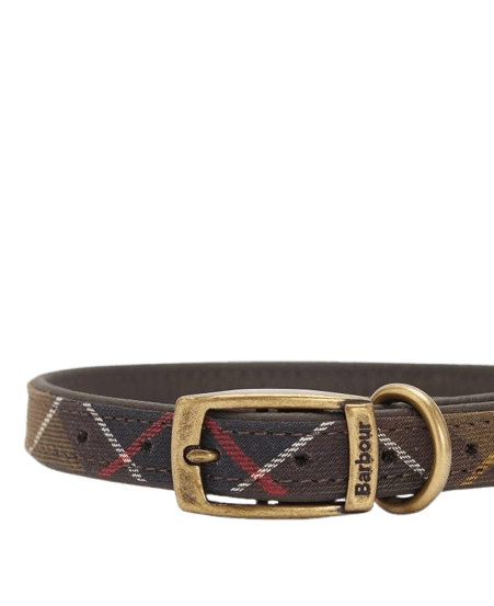 BARBOUR - Collier pour chien à motif tartan Vert – Image 2