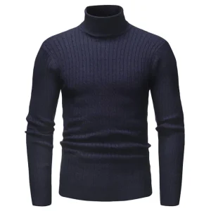 Col Roulé Homme Bleu Marine