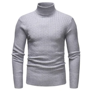 Col Roulé Homme Gris