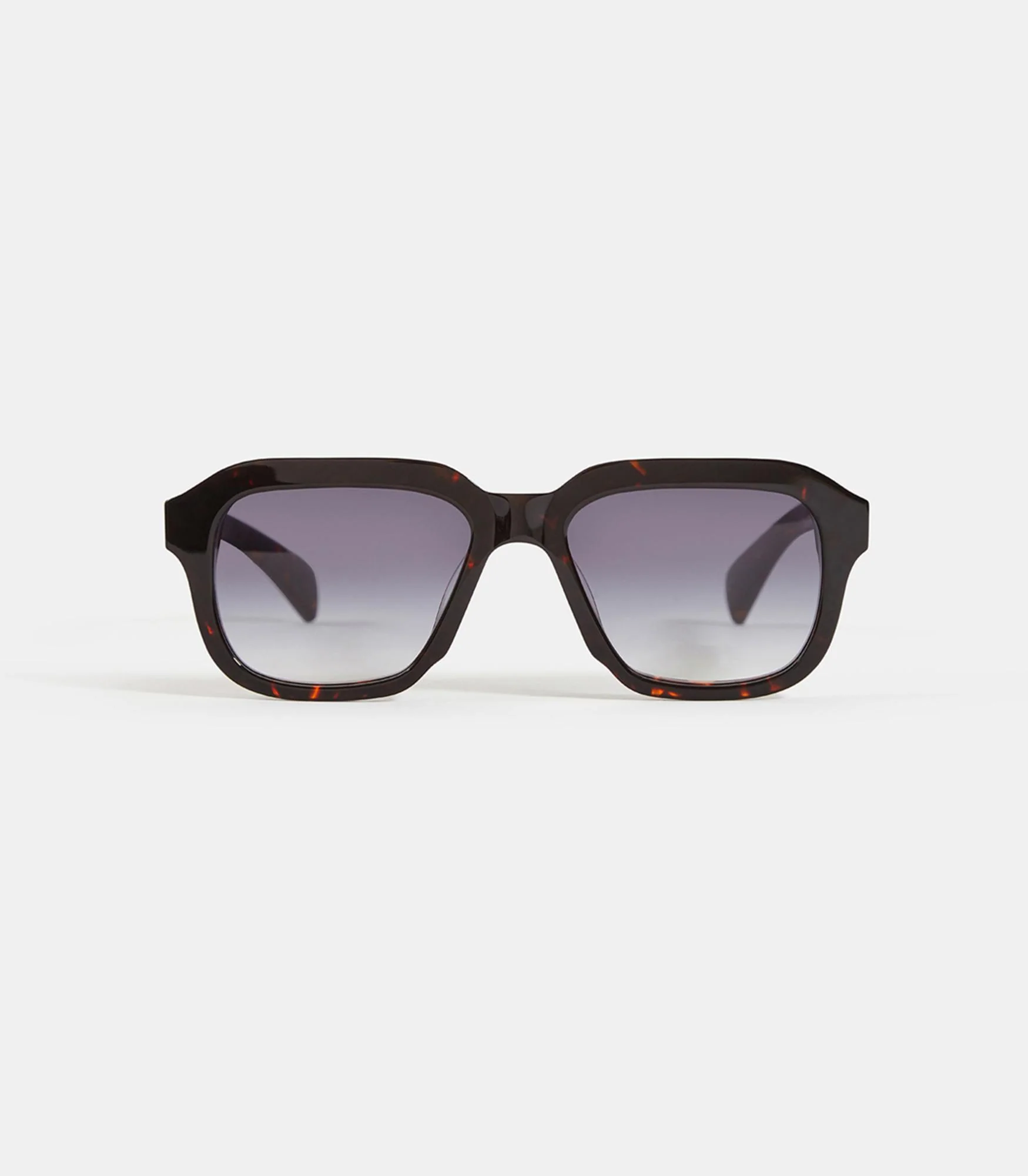 Ace Large – Image 2