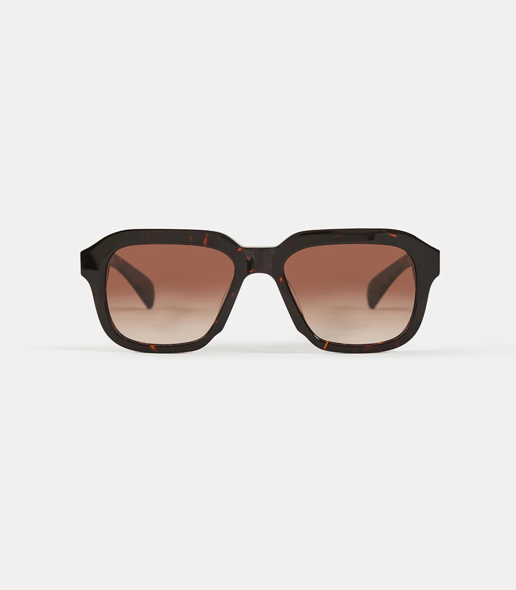 Ace Large – Image 5