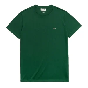 Lacoste T-shirt vert pima uni