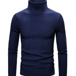 Pull Col Roulé Bleu Marine Homme